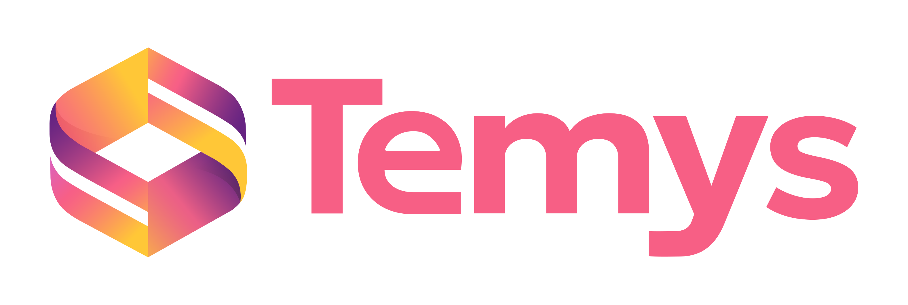 logo-TEMYS