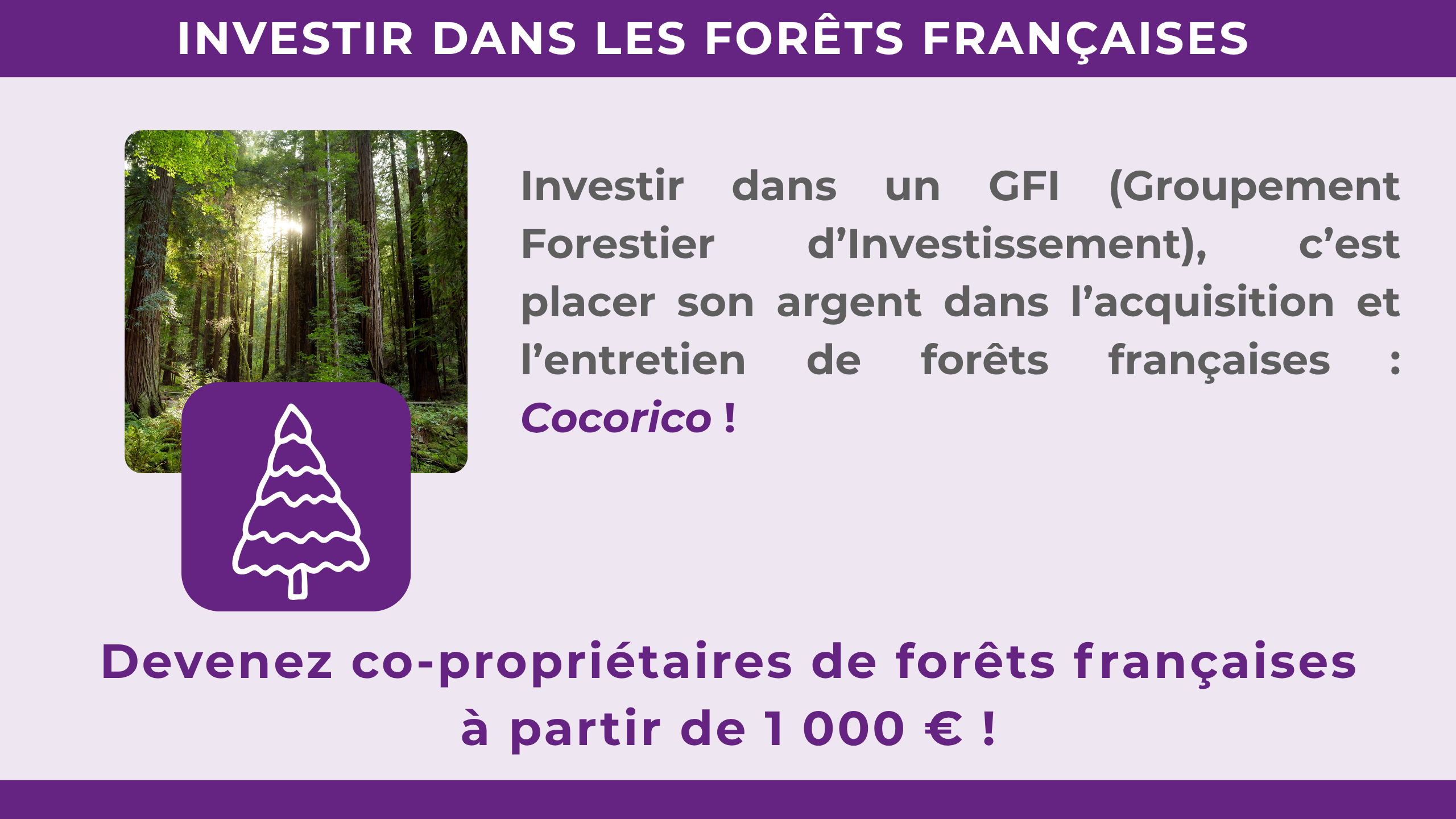 C'EST QUOI UN GFI ? Devenez co-propriétaires de forêts françaises à partir de 1 000 € ! Investir dans un GFI (Groupement Forestier d'Investissement), c'est placer son argent dans l'acquisition et l'entretien de forêts françaises : Cocorico !