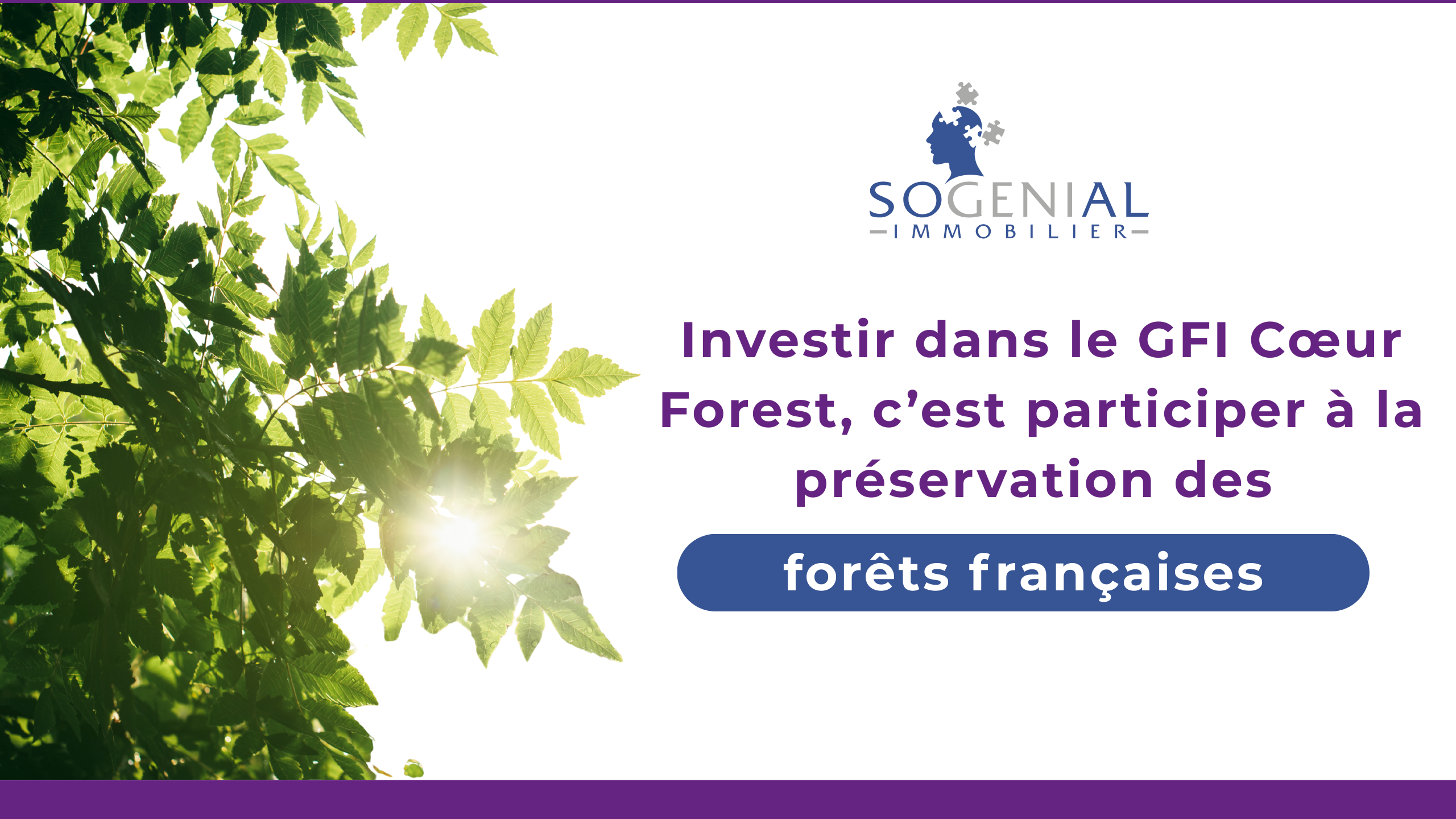 C'EST QUOI UN GFI ? Devenez co-propriétaires de forêts françaises à partir de 1 000 € ! Investir dans un GFI (Groupement Forestier d'Investissement), c'est placer son argent dans l'acquisition et l'entretien de forêts françaises : Cocorico !