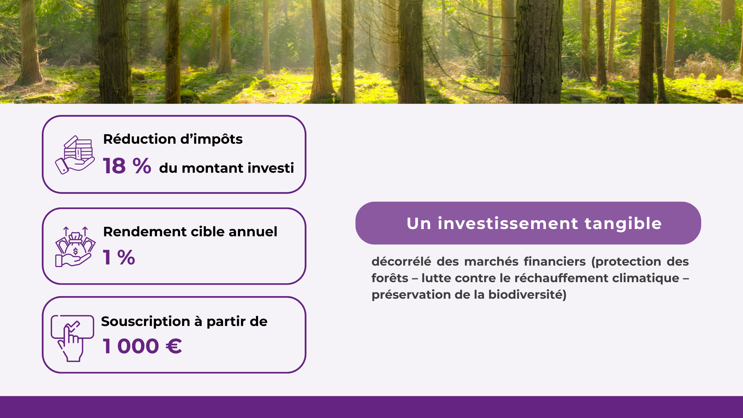 COMMENT ÇA MARCHE ? 1/ Les investisseurs achètent des parts d'un GFI 2/ Le GFI utilise cet argent pour acheter des forêts 3/ Le GFI réalise l'entretien de ces forêts 4/ Le GFI encaisse les revenus issus de la gestion des forêts 5/ Le GFI reverse aux investisseurs les revenus au prorata de leur part